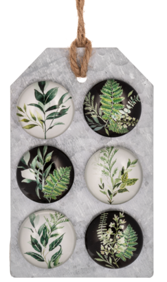 Fern Magnets, Set Of 6