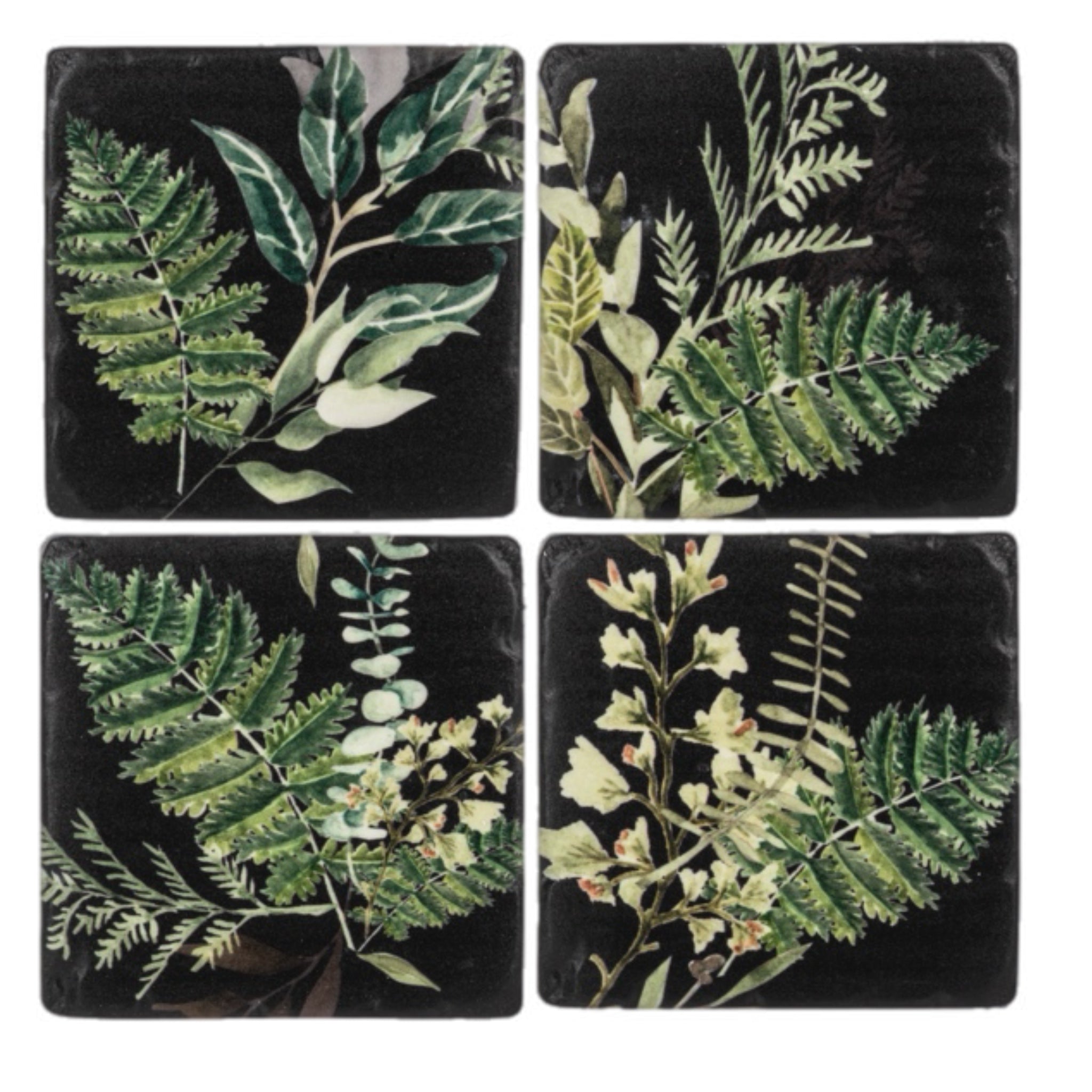 Fern Coasters, Set Of 4