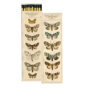 Moths Matches