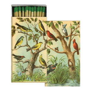 Bird Studies Matches