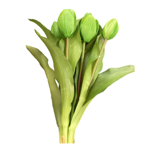 12" Green Tulip Bundle