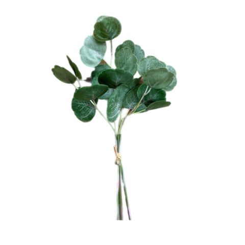 17" Silver Dollar Eucalyptus Bundle