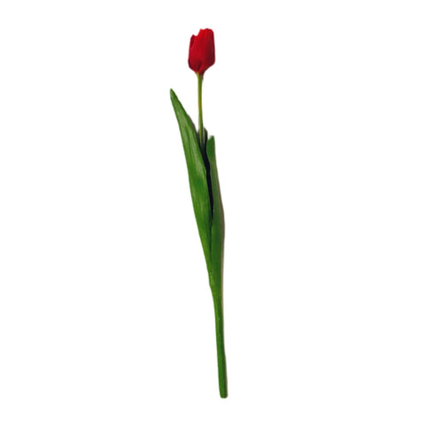 18" Red Tulip Stem