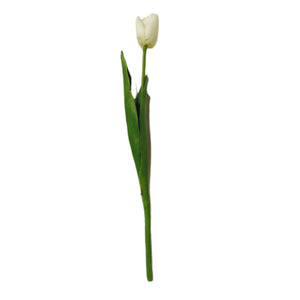 18" White Tulip Stem