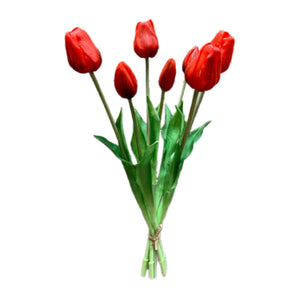 19" Red Tulip Bundle