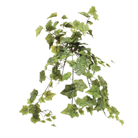 28" Ivy Bush