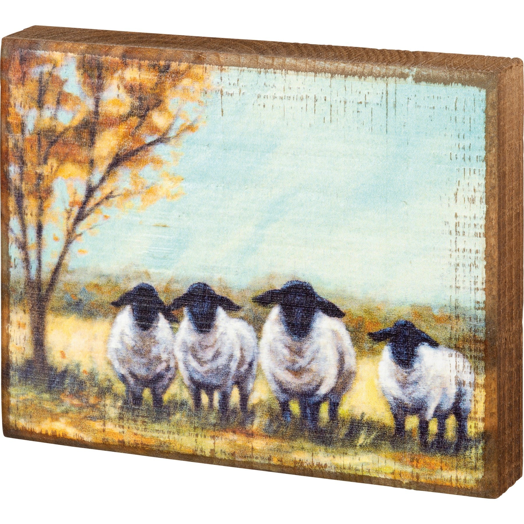 Sheep Canvas Print