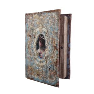 Blue Lady Book Box