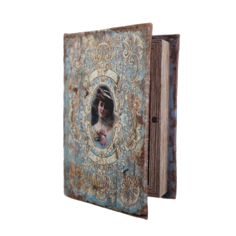 Blue Lady Book Box