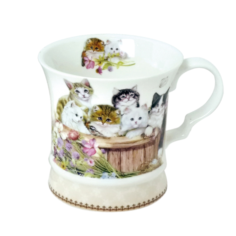 Cats Mug With Gift Box