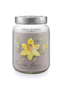 Tried & True Large Jar Candle: Vanilla Bean