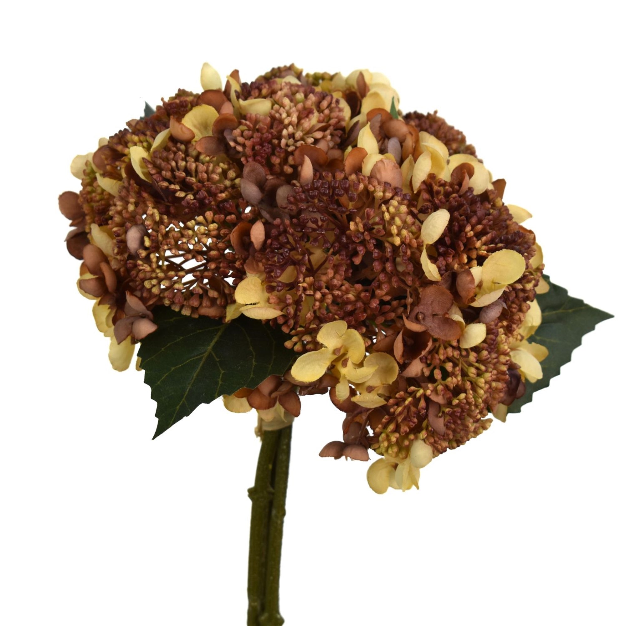 12" Toasted Almond Seeded Hydrangea Bouquet