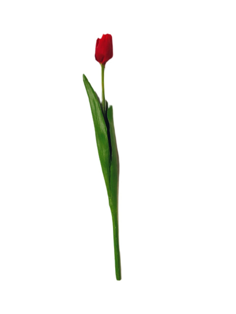 18" Red Tulip Stem