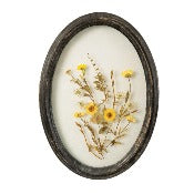 Pressed Flowers In Black Frame